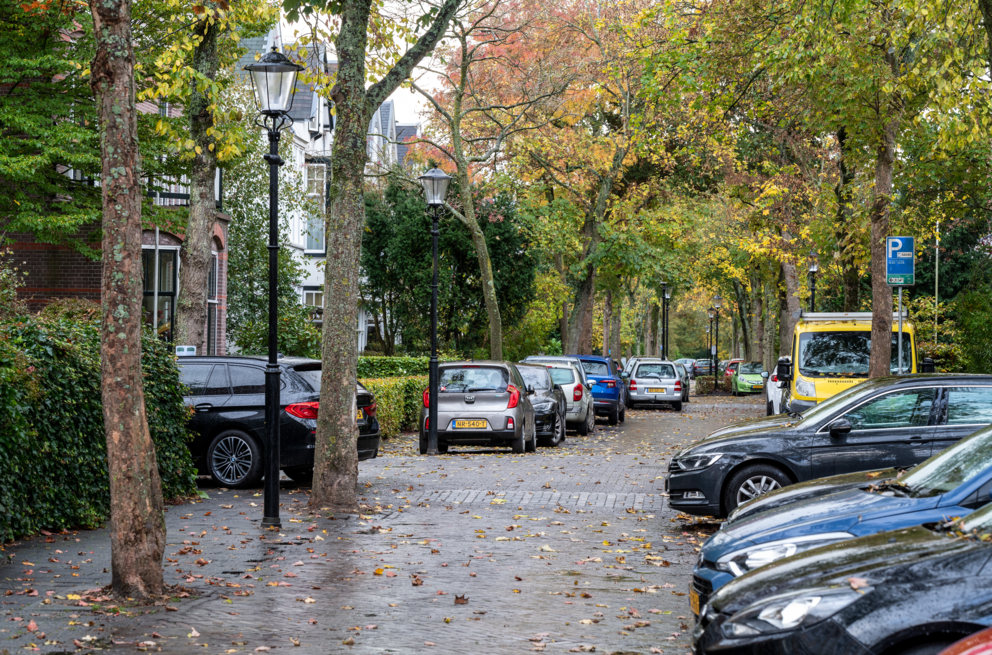 Lightronics OGR armaturen in woonwijk Leeuwendaal in Rijswijk